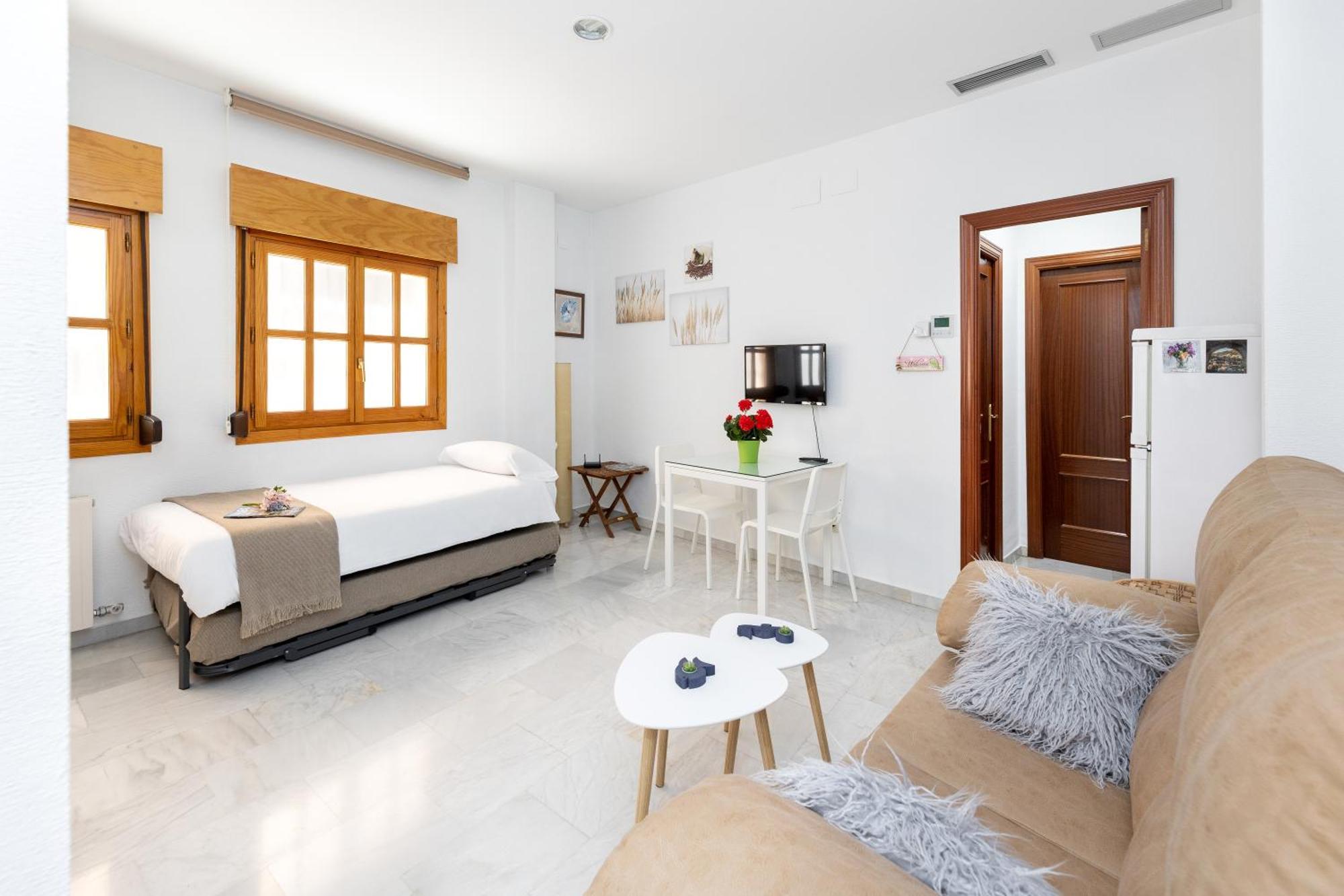 Apartamento Adultos Centro Nueva De La Virgen 2 Free Parking Granada Exteriér fotografie